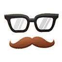 Disguise