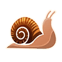 Snail