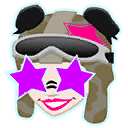 Starry Raider