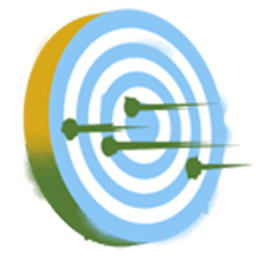 Hit the Bullseye