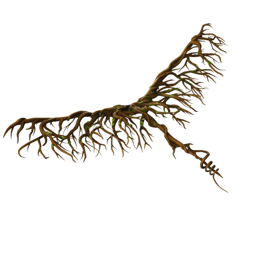 Root Wing