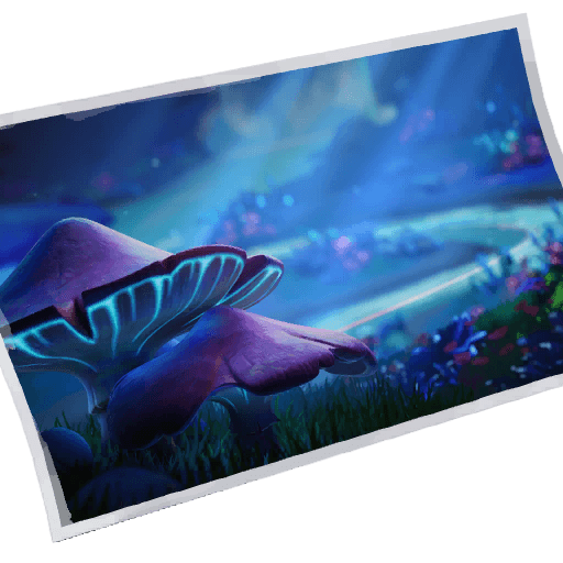 Niteshroom Valley