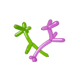 Balloon Animals