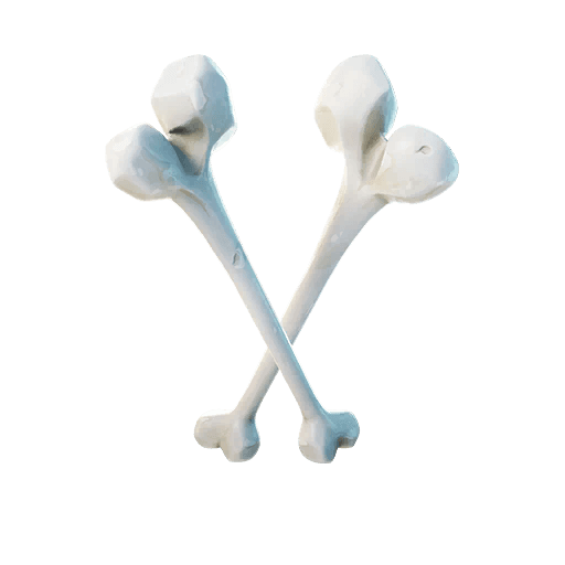 Beef Bone