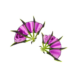 Radiant Thorns