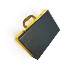 The Briefcase