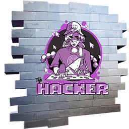 The Hacker